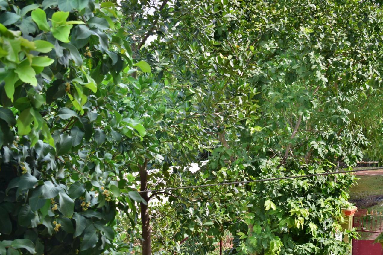 Kozee Kaves Hotel Yelagiri Exterior photo